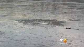Witnesses Rescue 2 Men Who Fell Through Ice On Frozen Lake