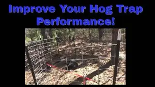 DIY HOG TRAP : 3 Tips To Catch more Swine!