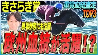 【きさらぎ賞2026】京都の馬場状態が影響！活躍が目立つ欧州血統(坂上明大の重賞血統査定)《東スポ競馬》