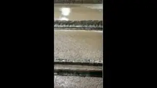 Slaughterhouse waste water treatment WWT