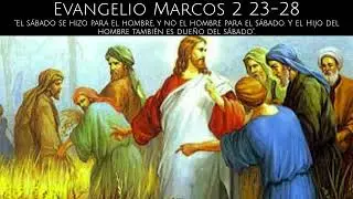 Evangelio Marcos 2 23-28  | 20 Enero 2026