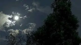 village moon vibe #vlog