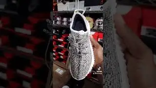 Yeezy 350 Boost Turtle Doves 🐢 🕊