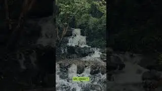 Dang forest natural beauty Gujrat #dangforest Dangfore #naturelovers #naturephotography #enjoylife