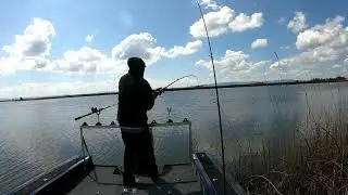 Delta sturgeon / slot fish / catch & release