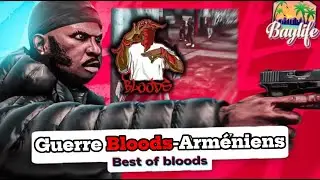 Best of Bloods │ Guerre Arméniens │ 🌴BayLife🌴 GTA RP