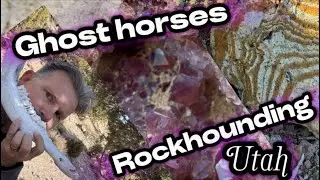 Ghost horses and rock hounding Utah
