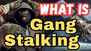 What is Gang Stalking, Electronic Harassment | Targeted Individuals