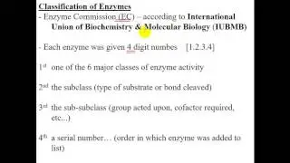 Biochem (Second) - dr. sameer -- Enzyme (1)