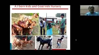 Goat farming as a livelihood support - Best Practices