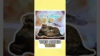 This Hidden Scene in Jedi: Survivor is WILD