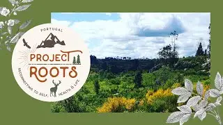 Project Roots Levarda (mini canal)