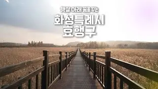 화성특례시 효행구 편│햇살 아래 꿈을 꾸는 효행☀️ #화성특례시 #효행구