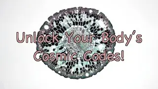 Journey Through Your Inner Universe: The Cosmic Secrets of Desire & Pleasure