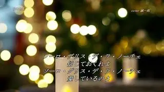「夜の銀狐」斉条史朗 ロス・インディオス cover 誠一郎 ｈｂ