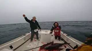 NorCal Tuna on Shambala 2