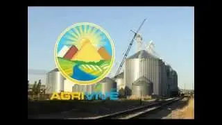 Purchase Bulk Sugar for Import, Sugar Importing, Sugar Importers, Sugar Importer, Sugar Imports