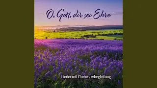 O Bethlehem, du kleine Stadt