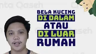 Bela Kucing Di Dalam Atau Di Luar Rumah