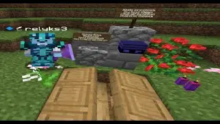 trolling this slow kid on an smp