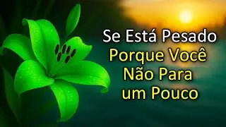 Se Está Pesado, Por Que Você Não Para um Pouco?