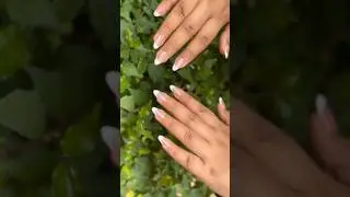 French tips elegance 🩷 #shorts #nails