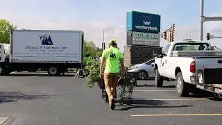 DeLuca Group - Landscape Design