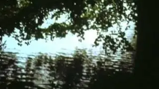 Bibio - Mr. & Mrs. Compost