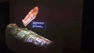 Museo Egizio Coffin Display