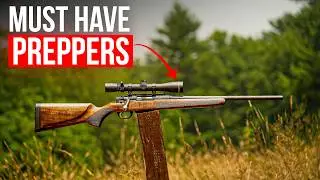 Top 10 Survival Rifles Under $300 Every Prepper Should Know About NOW