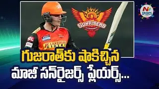 Jason Roy pulls out of IPL 2022 | NTV Sports
