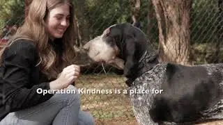 Who we are | Operation Kindness