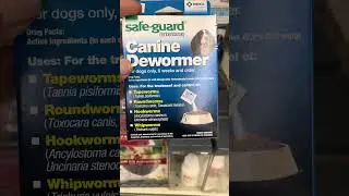 Средство от глистов для собак #americanbully #tractorsupply #dewormer #queencitybullys