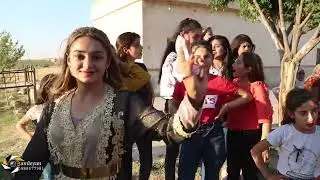افراح#كوباني قرية خرب بركير(3) عريس اوجلان & روجنك فيديو شامليان