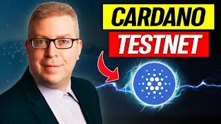 Cardano Testnet Airdrop Tutorial! (MinSwap)