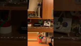 Disney Crew Cabin tour