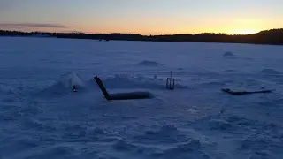 Avantouinti (Ice swimming)