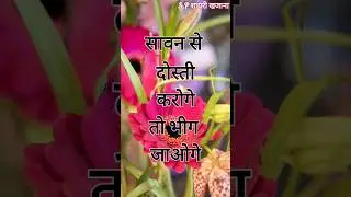 Sawan Shayari Status/ Sawan Status 2023/ Sawan Shayari/ Sawan/ #sawan #status #sawanshayari #shorts