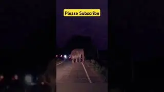 Elephant Pass 🐘😁🤍🥰 #trending #elephant #ampara #video #travel #elephantvillage #viralvideo #shorts