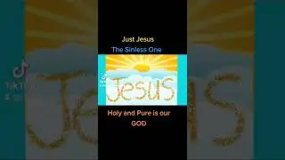 Just #Jesus. The Sinless One. Holy and Pure is our GOD ❣️ #jesusisgod #jesusisthesonofgod #jesus 💕