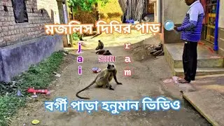 Amadera grame bargi para hanumana videos 🏠🐒🔍
