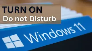 Как включить режим «Не беспокоить» в Windows 11