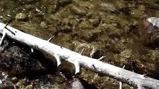 West Fork Rock Creek Red Lodge