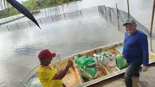 OLHA O QUE FIZEMOS PRA COLOCAR OS SACO NO TANQUE GIGANTE DA LAGOA 