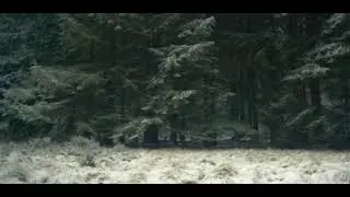 Rustling Trees with Light Snow White Noise Sound for Sleeping