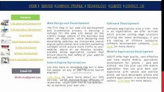 Outsourcing Software Development Company.wmv
