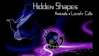 Hidden Shapes Animals & Lovely Cats Part 1.5