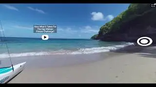 Virtual Tours: Powerful Marketing  - 360 Images, Google & VR