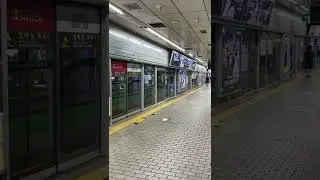 New York Subway Have to follow Seoul Metro Screen door System  prevent Tragedy Accidents
