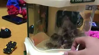 Candy grabber Electric fan claw machine with chocolate in japan ufo catcher